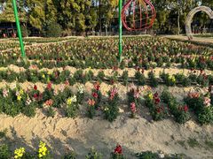 -广东花都香草世界旅游度假区