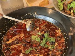 -雀蓝川菜(奥体广场店)