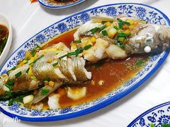清蒸白水鱼-南花桥羊肉馆老字号(乌镇店)