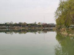 -九里河湿地公园