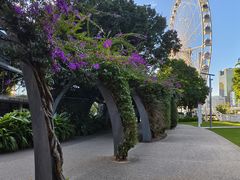 -布里斯班南岸公园