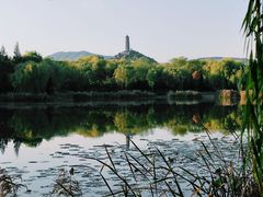 -北坞公园