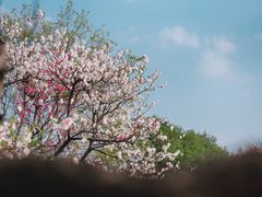 -玄武湖景区-情侣园游乐场