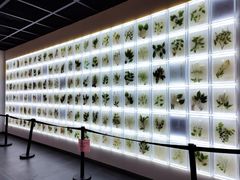 -广东中医药博物馆