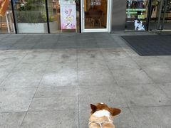 -泸州万象汇