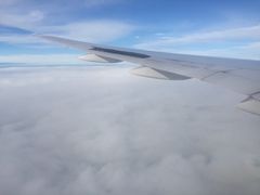 -纽瓦克自由国际机场