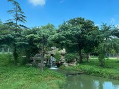 -上海野生动物园