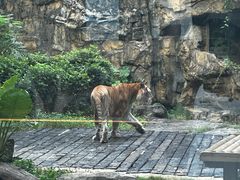 -广州长隆野生动物世界