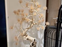 -悦融·京鲁菜·露台花园(安定门店)