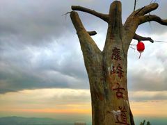 -长沙黑麋峰国家森林公园