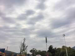 -无锡动物园·太湖欢乐园