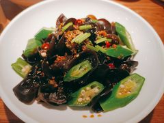 爽口木耳-晋家门(文峰广场店)