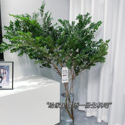 -小梨·OndaPro·专业脱毛连锁机构