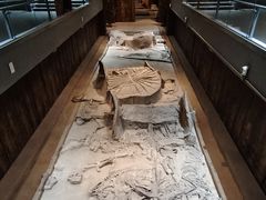 -北京大葆台遗址博物馆