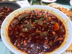 -三强鸽子(中原路店)