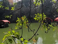 -侨美·唐荔园·40年地道粤菜