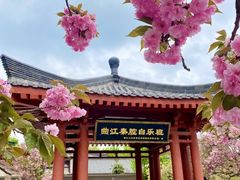 -大慈恩寺(大雁塔)