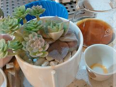 -COFFELIZ COFFEE