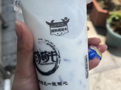 招牌原味酸奶紫米露-萌萌牛紫米露(烟台大学店)