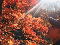 -天女山森林公园
