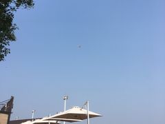 -碧海金沙