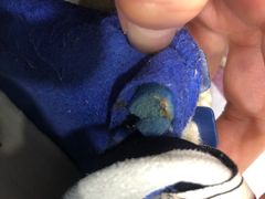 -翰皇直营洗衣洗鞋(望京鹿港店)