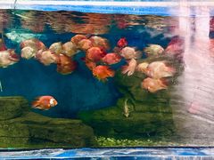 -泉州海丝野生动物世界