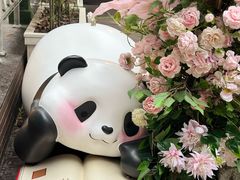 -轩客会(熊猫书店)