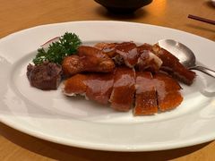 -广州富力君悦大酒店空中花园
