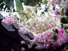 -深圳国际园林花卉博览园