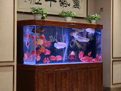 -凯鸽酒楼(恒安新区店)
