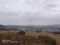 -御道口草原森林风景区