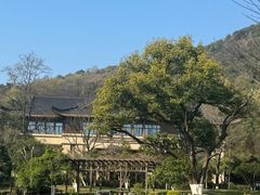 -杭州雅谷泉山庄酒店-餐厅