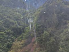 -秦岭天竺山景区