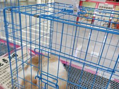 -欧亚汇集(飞跃路店)