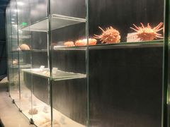 -广东惠东海龟国家级自然保护区