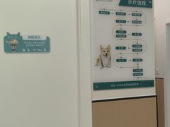 -瑞派康怡24h宠物医院·犬猫医疗中心·微创绝育(瑞景分院)