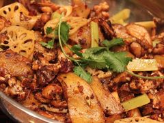 干锅牛蛙&nbsp;(大)158元-蛙蛙叫干锅年代(簋街总店)