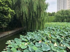 -合肥市图书馆