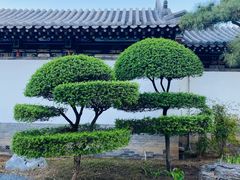 -迎泽公园