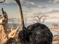 -陕西自然博物馆