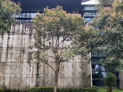 -湖南大学-中国书院博物馆