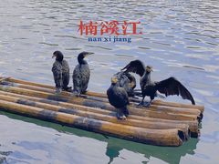 -楠溪江石桅岩