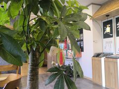 -艾柏堂8090经络·艾灸养生(御庭府邸店)