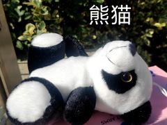 -熊猫不走蛋糕（同城送）(长沙店)