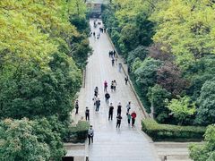 -灵谷景区