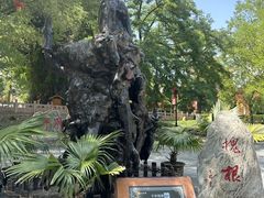 -大槐树寻根祭祖园