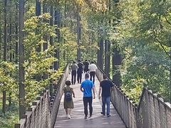 -黄海国家森林公园