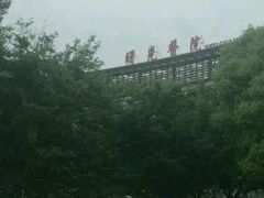 -上海中医药大学附属曙光医院(东部)