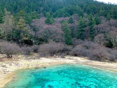 -黄龙山原始森林景区